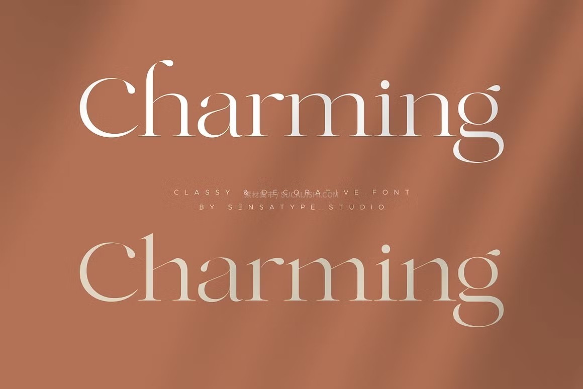 Charming 优雅贵气品牌字体